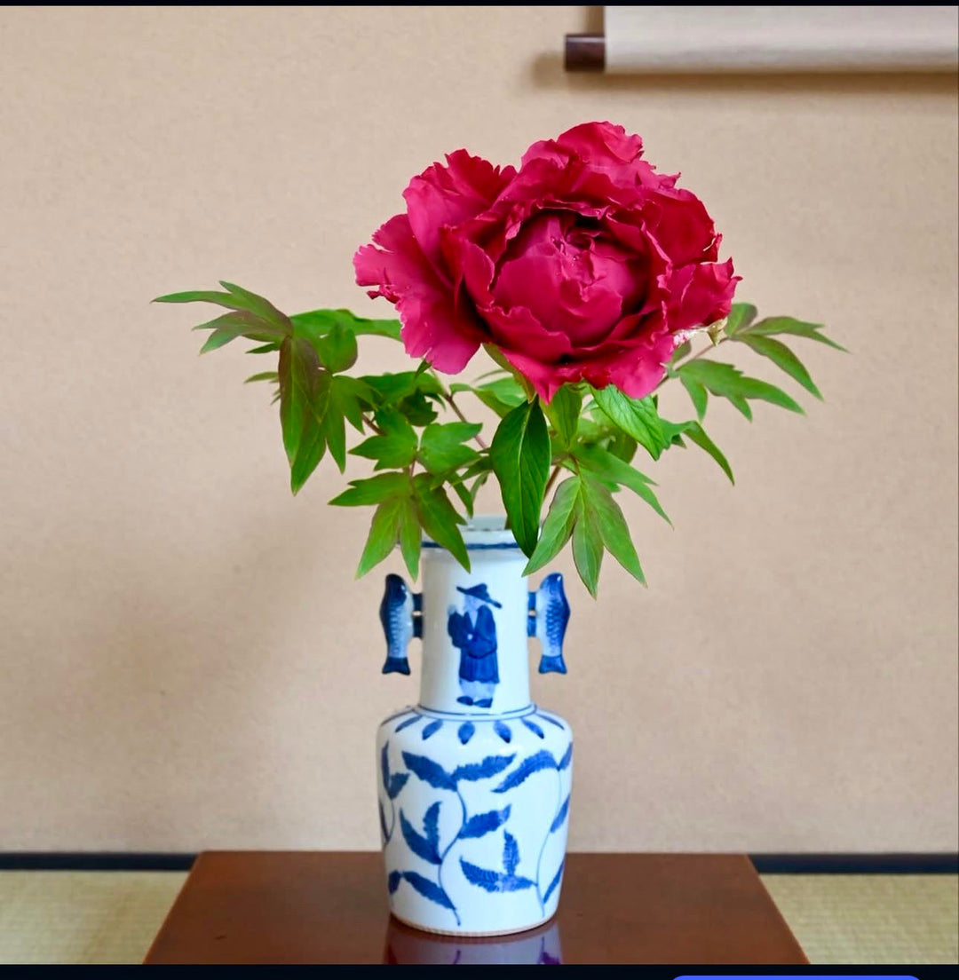 牡丹は炉の花、芍薬は風炉の花